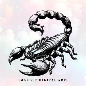 Scorpion Svg & Png,Pdf,Jpg,Scorpion Svg,Clipart,Scorpion Vector Image,Cricut,Silhouette,Sublimation Design,Commercial Use,Scorpion Cut File