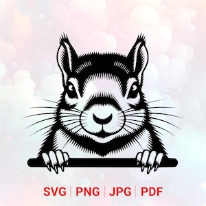 Peeking Squirrel Head SVG: PNG, Animal Clipart, Vector, Laser Cut File (Digital Download)