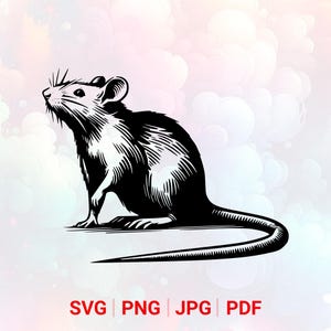 Mouse SVG: PNG, Rat, Mice, Animal Clipart, Vector, Laser Cut File (Digital Download)