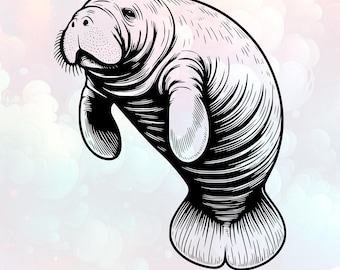 Manatee Svg & Png,Pdf,Jpg,Manatee Svg,Clipart,Manatee Vector Image,Manatee Silhouette,Cricut,Cut File,Sublimation Design,Commercial Use