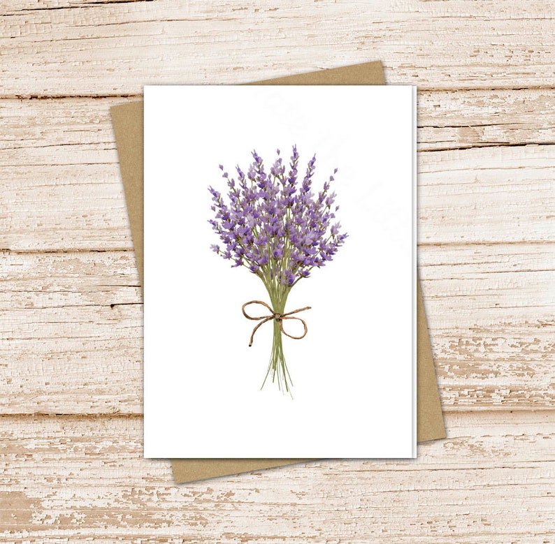 lavender card set . watercolor flowers note cards . floral, nature, botanical . blank note cards . folded stationery . stationary set image 1