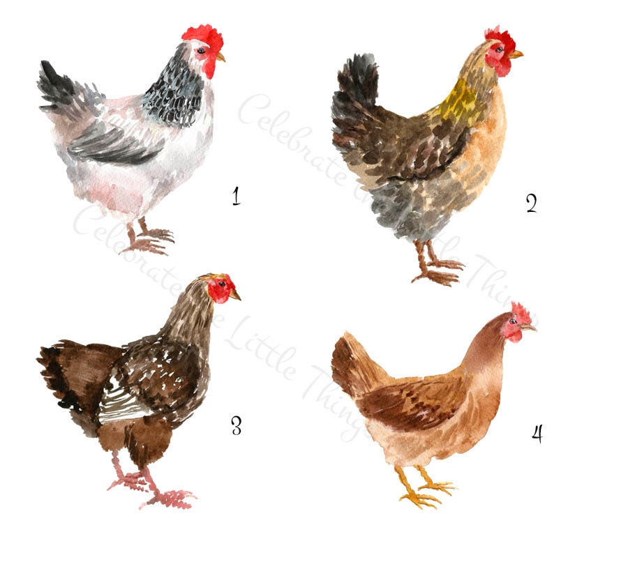 Personalized Chicken Notepad: Watercolor Farm Stationery, Note Pad - Etsy