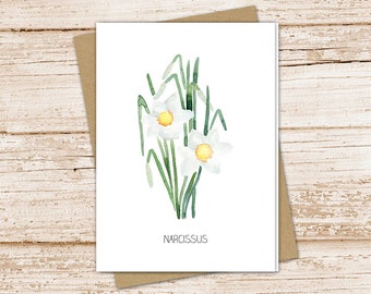 narcissus card set .  watercolor flowers . december birth month flower . floral note cards . nature garden . blank cards, folded stationery