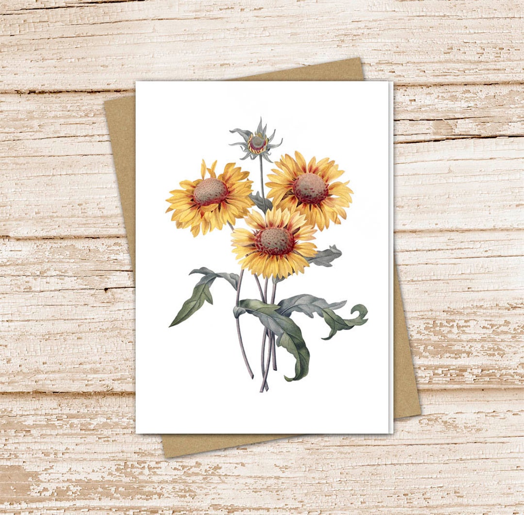 French Sunflowers Card Set . Watercolor Sunflowers Note Cards . Floral ...