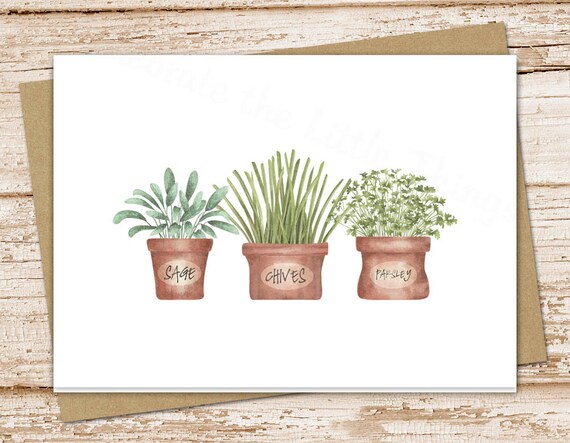herb garden stationery set . cooking sage chives parsley . greeting cards notes . watercolor . folded stationary . blank cards note card set Il_570xn