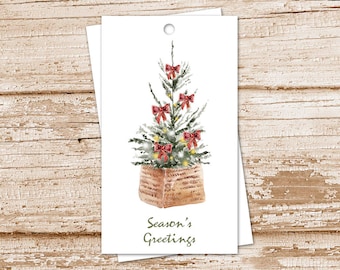 May include: A watercolor illustration of a small Christmas tree in a brown pot with red bows and lights. The text "Season's Greetings" is below the tree.