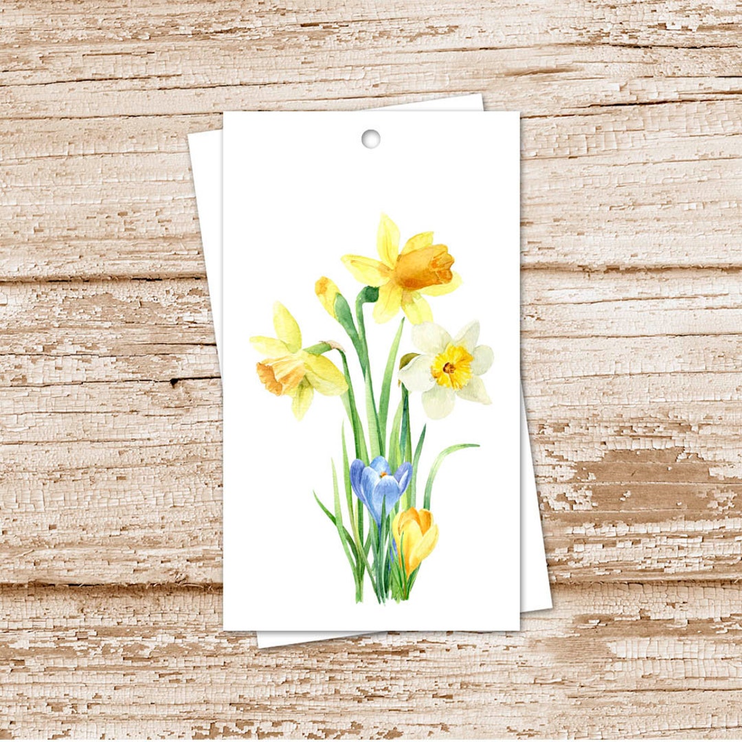 Daffodil Crocus Floral Gift Tags, Watercolor Flowers, Easter, Spring