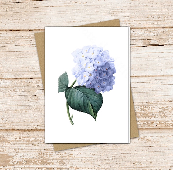 blue hydrangea card set . watercolor flower note cards . floral botanical, nature . blank cards . notecards . folded stationery, stationary Il_570xn