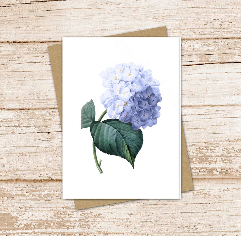Ensemble de cartes de correspondance bleu hortensia : papeterie florale aquarelle