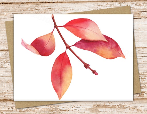 Fall Watercolor Greeting Card Set