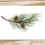 Forest Greeting Cards