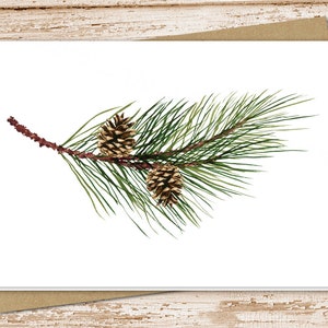 May include: A close-up of a pine branch with two pine cones. The pine branch is green and the pine cones are brown.