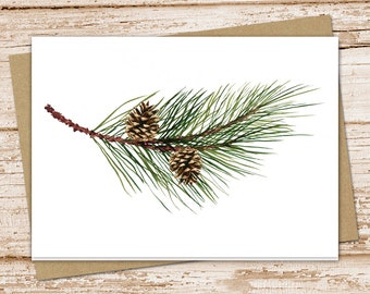 pine tree branch & pinecones card set . evergreen trees . blank cards . folded stationery, stationary . forest, camping, outdoors, nature