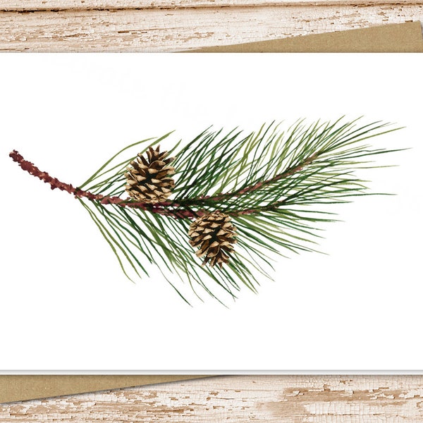 pine tree branch & pinecones card set . evergreen trees . blank cards . folded stationery, stationary . forest, camping, outdoors, nature