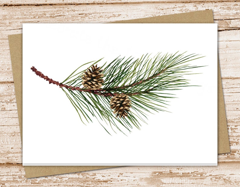 pine tree branch & pinecones card set . evergreen trees . blank cards . folded stationery, stationary . forest, camping, outdoors, nature image 1