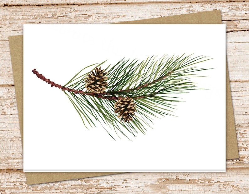 Pine Branch & Pinecones Card Set: Blank Forest Stationery - Etsy