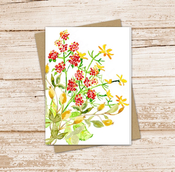 set-of-6-4x4-folded-notecard-blank-inside-fruit-greeting-cards-birthday
