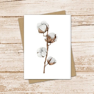 May include: A watercolor painting of a cotton plant with four white cotton bolls on a brown stem. The cotton bolls are fluffy and soft, and the stem is thin and delicate.