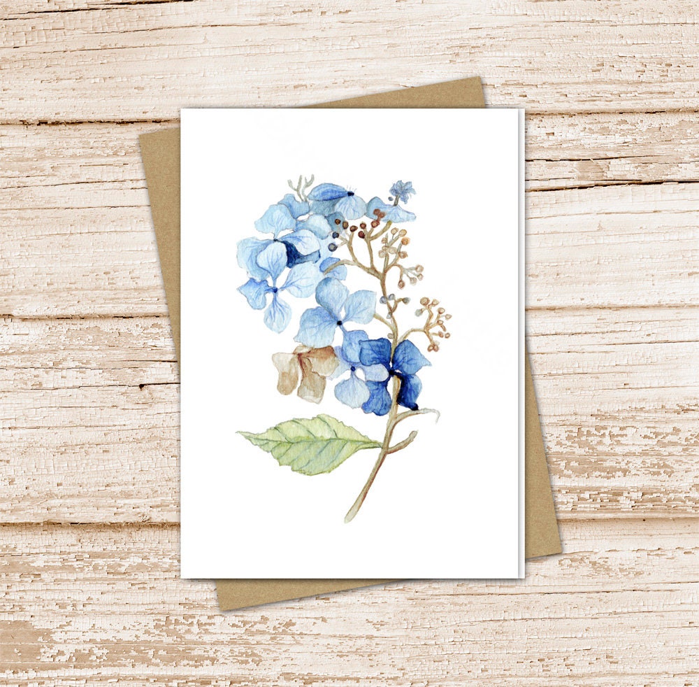 Watercolor Hydrangea Note Card Set: Blue Floral Stationery - Etsy