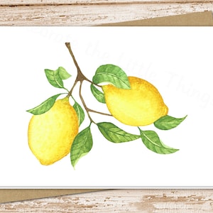Watercolor Lemon Note Card Set: Blank Greeting Cards