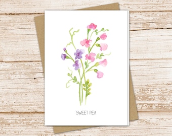 sweet pea card set .  watercolor flowers . april birth month . floral note cards . botanical nature garden . blank cards, folded stationery