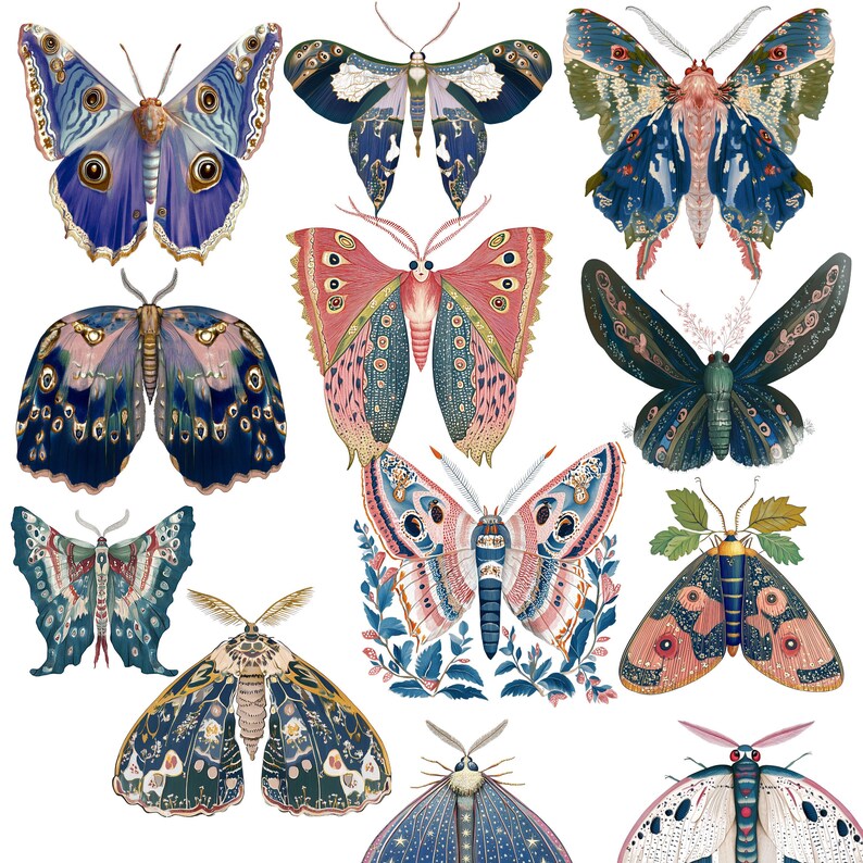 Folk Art Moths Clipart Bundle | 50 Moth PNG | Colorful Vintage Insect ...