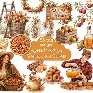 Puede incluir: Una colección de 55 imágenes prediseñadas en acuarela con temas de cosecha de manzanas, que incluyen cestas de manzanas rojas y verdes, un letrero de madera que dice Welcome to our Orchard, pasteles de manzana, donas, canela y personas.