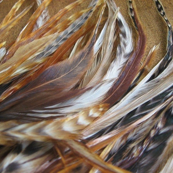 over 40 Natural striped rooster saddle feathers