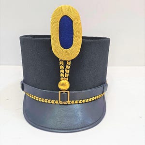 May include: A black military style hat with a gold braid trim and a gold oval badge with a blue center.