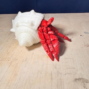 Hermit Crab