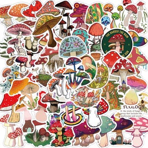50 stickers champignon vénéneux, différents stickers imperméables auto-adhésifs, étiquettes autocollantes mycologie roses et rouges champignon champignon champignon mycologie B79