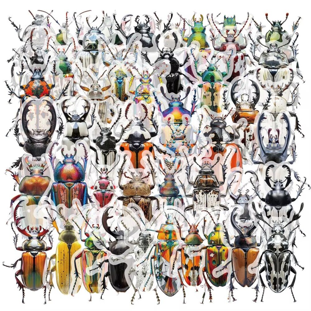 50 Beetle Stickers, Pack Different Self Adhesive Waterproof Labels ...