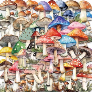 50 stickers champignons, Assortiment de stickers imperméables auto-adhésifs, Motifs transparents colorés, Étiquettes champignon vénéneux brillants magiques B47