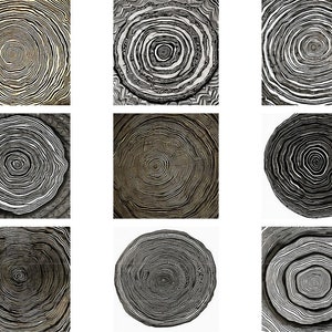 13 Pen and Ink Drawings of Woodcut Tree Rings, Tree Ring Art - 13 JPG ...