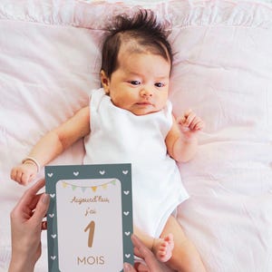 Tarjetas de la etapa 1 a 12 meses