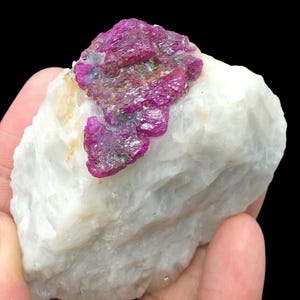 May include: A raw mineral specimen featuring a cluster of vibrant magenta-pink ruby crystals embedded within a large, opaque, white quartz matrix. The ruby section displays a rough, crystalline texture with deep red hues, contrasting against the white stone.