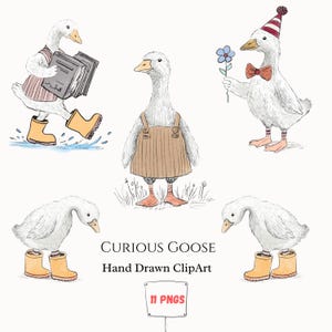 Set di clipart di oche stravaganti e sciocche, animali da fattoria disegnati a mano ad acquerello, PNG, illustrazione di vivaio vintage, download digitale di baby shower
