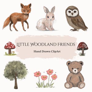 Clipart aquarelle des bois, animaux de la forêt mignons, Collection amis de la forêt, Clipart de chambre d'enfant dessinés à la main, téléchargement numérique PNG