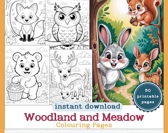 Woodland and Meadow 50  Printable Colouring Pages for Kids