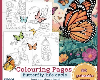 Ciclo de vida de la mariposa: 35 páginas para colorear (PDF)