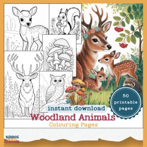 Woodland Animals Coloring Pages: 50 Forest Nature Designs (PDF Download)