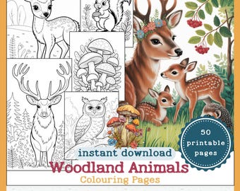 Woodland Animals Coloring Pages: 50 Forest Nature Designs (PDF Download)