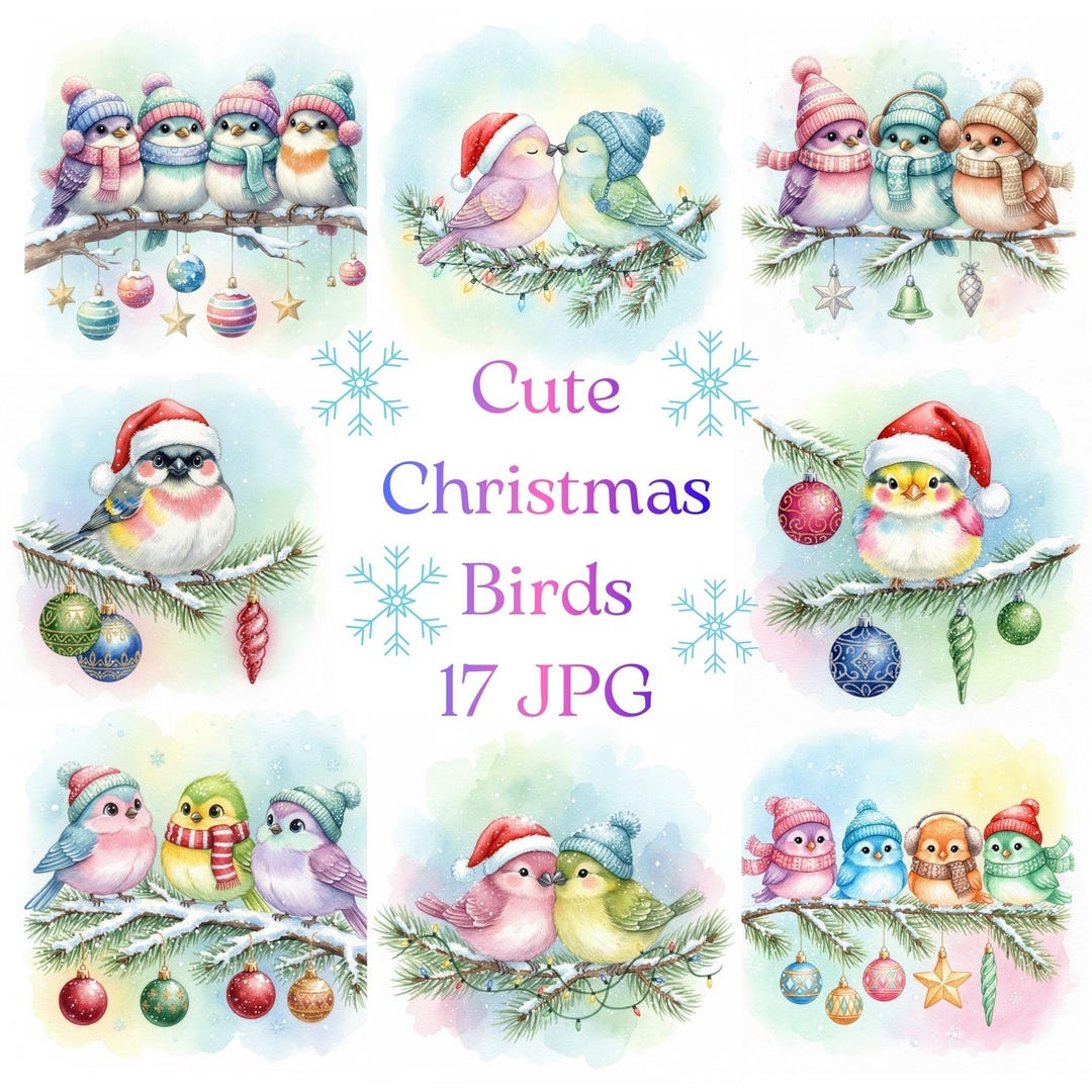 Winter Birds Watercolor Clipart – Christmas Holiday Set, 17 JPG, High ...