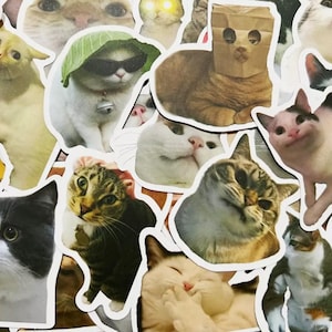 10 adesivi meme di gatti - Adesivi in vinile con divertenti facce di gattini per laptop, telefono, bottiglia d&#39;acqua, impermeabili e anti-duplicati