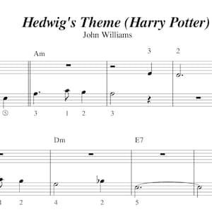 Może przedstawiać: Nuty do utworu Hedwig's Theme z serii filmów o Harrym Potterze, skomponowane przez Johna Williamsa i zaaranżowane przez Ilarię Roberti. Utwór jest zapisany w standardowej notacji z metrum 4/4 i tempem 128 uderzeń na minutę. Klucz to a-moll.