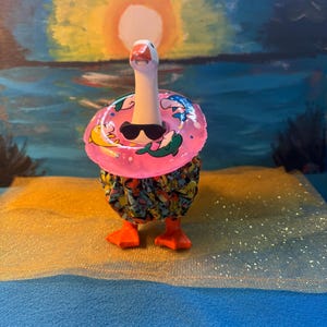 Desk Goose Swimsuit Pokemon Trunks