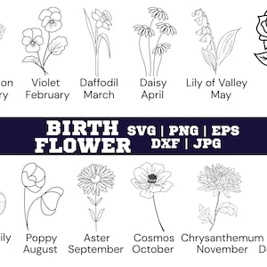 BirthMonth Svg Bundle | Flower Svg | Birth Flower Svg| Floral Svg | Botanical Svg | Rose Svg | Daisy Svg| Poppy Svg | Birthday Svg | Svg