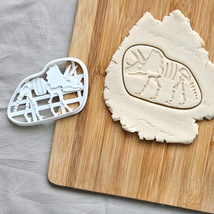 Fossil Triceratops Cookie Cutter- triceratop biscuit cutter, fossil cookie stamp, Jurassic Park birthday party, prehistoric, geology, baking