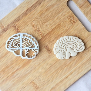May include: A white plastic brain-shaped cookie cutter positioned next to a matching brain-shaped cookie made of light-colored dough. The cutter features detailed internal ridges to imprint the anatomical structure of a human brain onto the dough.