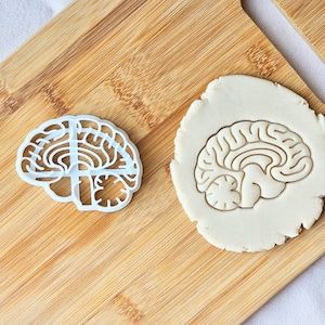 Anatomisk hjärna Kakform - Mänsklig anatomi, medicin och vetenskap Studentpresent